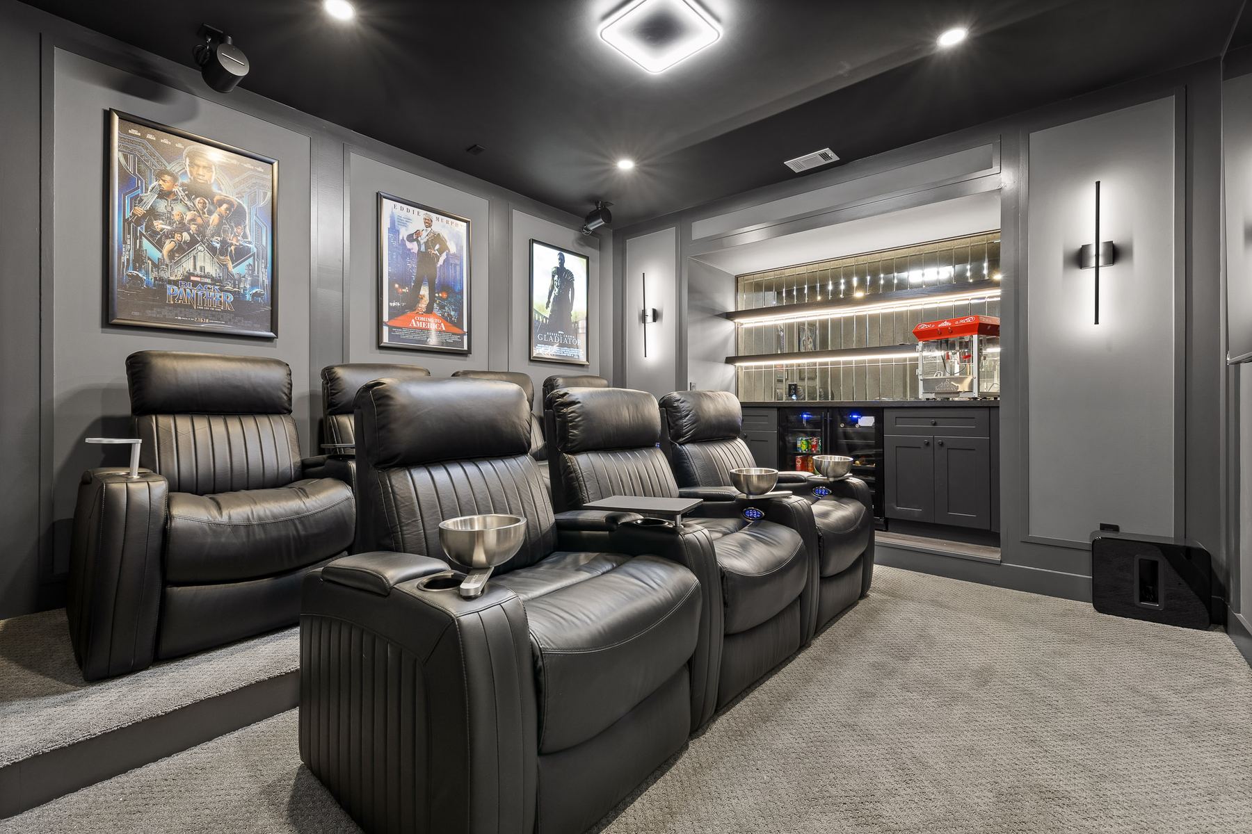 260 Dodd Lane Luxury Basement — Photo 5